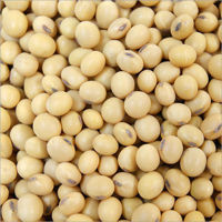 Picture for category Soya Bean