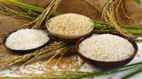 Picture for category Rice & Other Grains