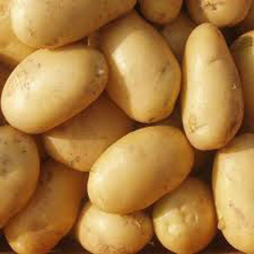 Picture of Potato / Aloo (1Kg)