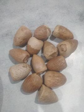 Picture of Poojan Gola Supari Betel nut kira (50g)