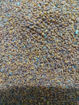 Picture of (50g) Haalo herbs / Halam Halo Garden Cress Seeds