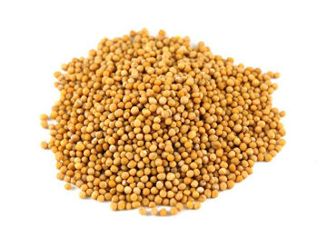 Picture of poojan Pili Yellow sarso ke beej / Mustard Seeds (250g)