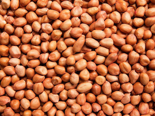 Picture of (250g) High Quality Moongphali / moongfali Dana / Peanut Seed Batani