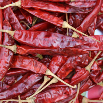 Picture of Royal Dry Red Chilli For Curry Fry (50g)