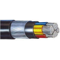 Picture for category Armoured Cables