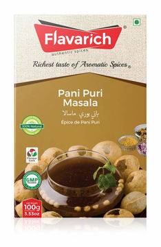 Picture of Flavarich Pani Puri Masala, 100 Grams