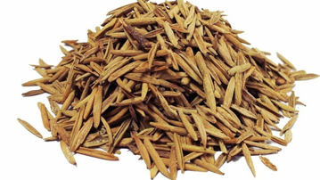 Picture of Poojan hawan Indrajav - Indrajau - Indrajav Seeds(Kadwa)-Holarrhena Pubescens Seed, ईंद्र जौ, 50g